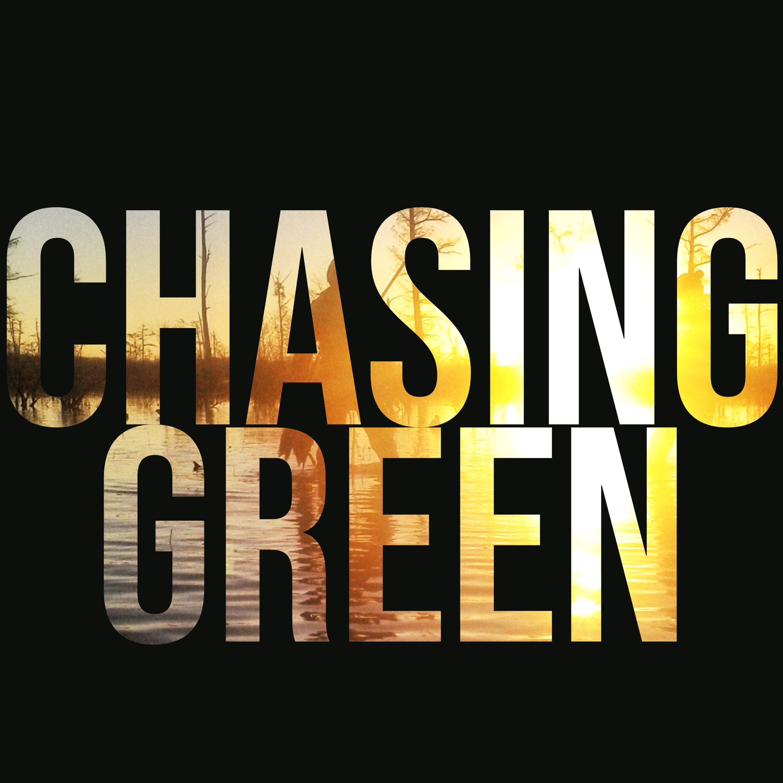 Chasing Green Waterfowl